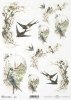 ptak, ptaki, jaskółka, jaskółki, kwiaty, wiosna, R671, bird, birds, swallow, flowers, spring, Vogel, Vögel, Schwalbe, Blumen, Frühling, pájaro, golondrina, flores, primavera 